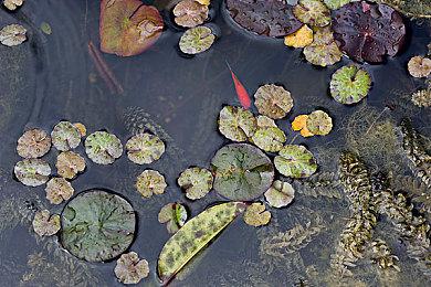 本周Fami通游戏评分出炉 《黎之轨迹2》获33分